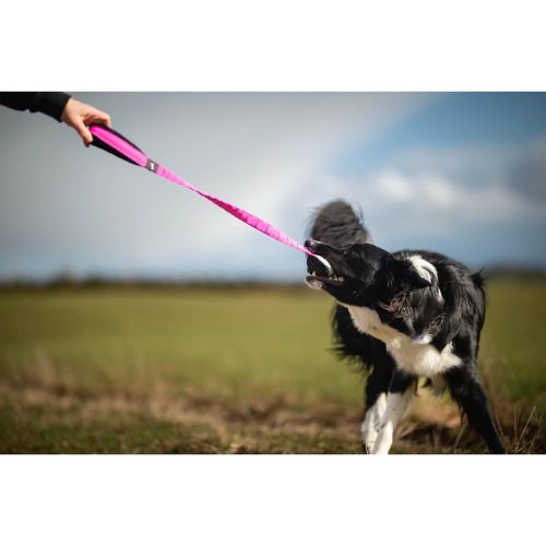 BungeeCutie Tug Toy - Afbeelding 7