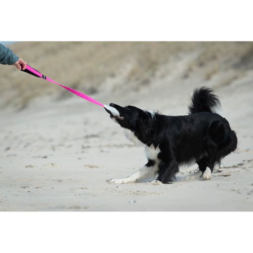 BungeeCutie Tug Toy - Afbeelding 4