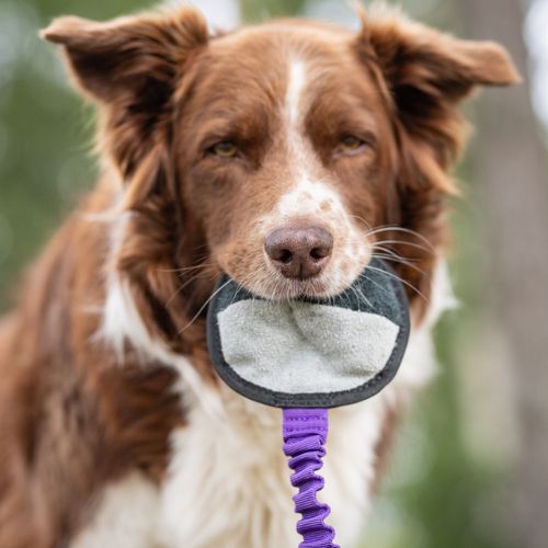 BungeeSweetie Ball - Afbeelding 3