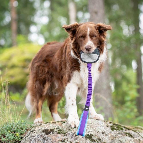 BungeeSweetie Ball - Afbeelding 13