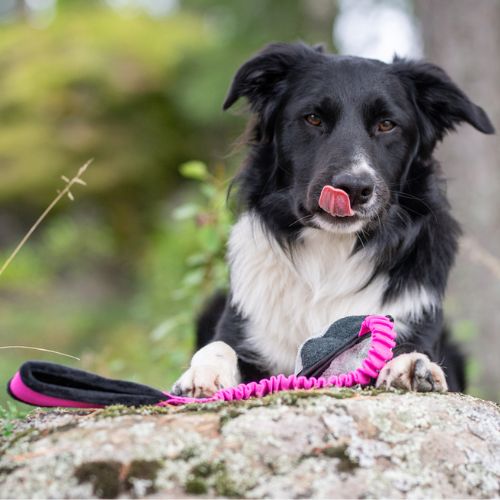 BungeeSweetie Ball - Afbeelding 4