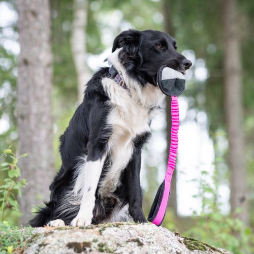 BungeeSweetie Ball - Afbeelding 14