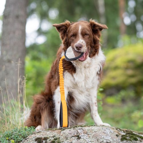 BungeeSweetie Ball - Afbeelding 10