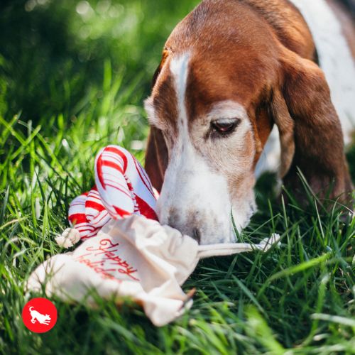 Candy Canes - Afbeelding 8