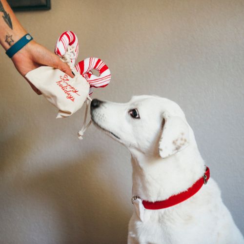 Candy Canes - Afbeelding 7