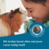 Care+ Cavia