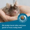 Care+ Gerbil/Muis