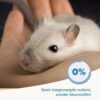 Care+ Gerbil/Muis