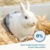 Care+ Konijn