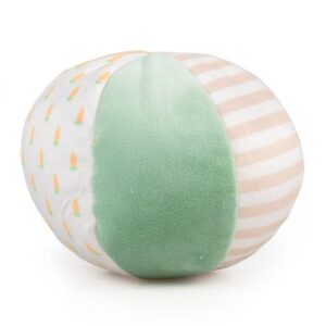 Carrot Speelbal Pluche