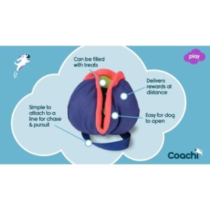 Alternative view of Chase & Treat