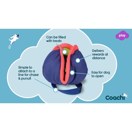 Chase & Treat - Afbeelding 2