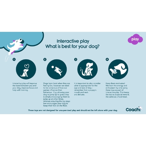 Chase & Treat - Afbeelding 6