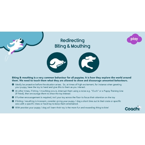 Chase & Treat - Afbeelding 7