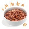 E&C Blikvoeding Adult Chicken & Turkey
