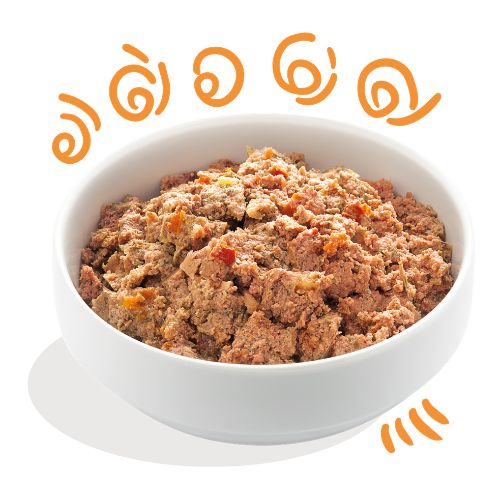 E&C Natvoeding Adult Chicken & Turkey