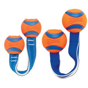 Alternative view of Chuckit Ultra Duo Tug