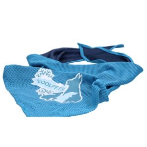 Alternative view of Cooling Bandana
