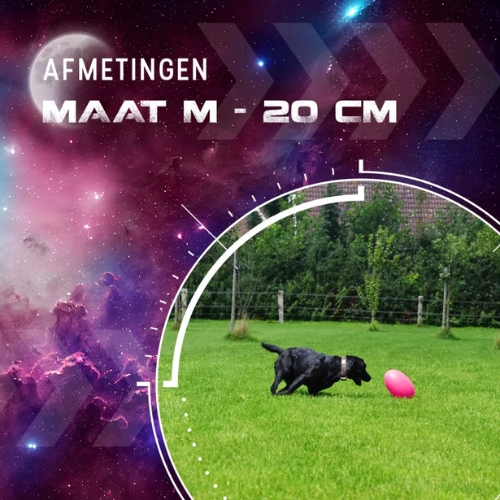 Dog Comets Pan-Stars - Afbeelding 6