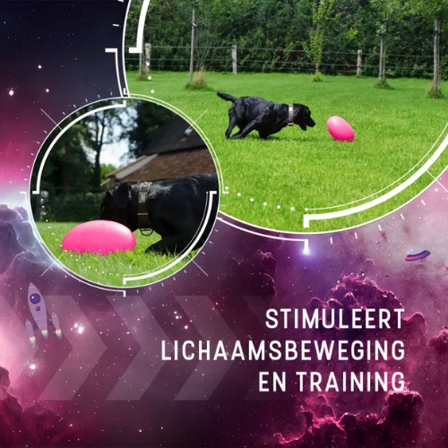 Dog Comets Pan-Stars - Afbeelding 4