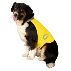 Dog Safety Vest