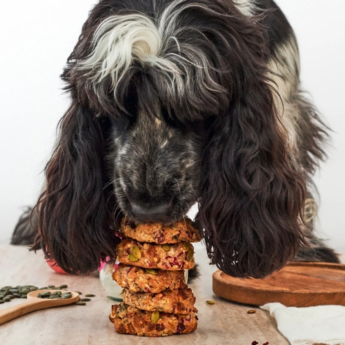 Pineut WoofBake - Afbeelding 7