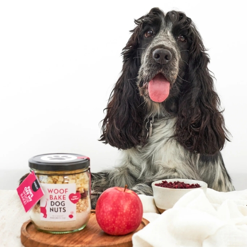 Pineut WoofBake - Afbeelding 9