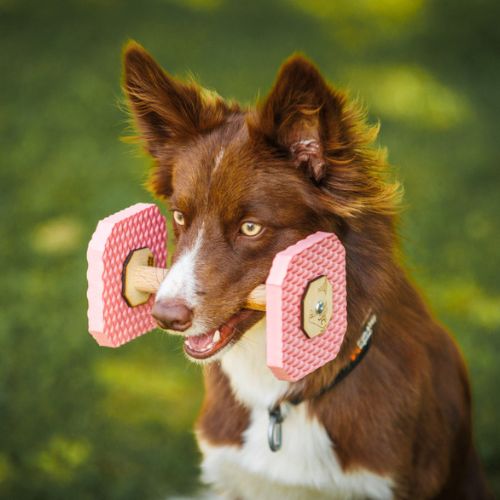 Foam Dumbbell Up - Afbeelding 7