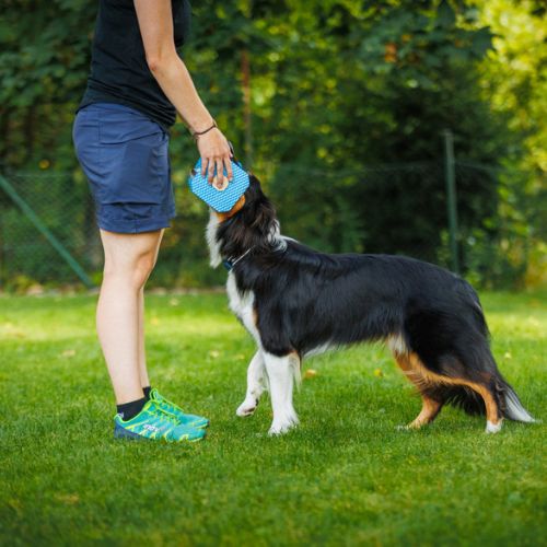 Foam Dumbbell Up - Afbeelding 6