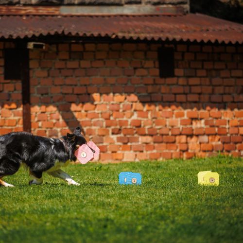 Foam Dumbbell Up - Afbeelding 8