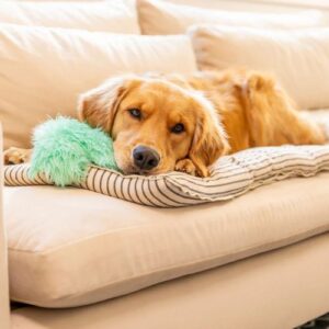 Alternative view of Freya Rowdies