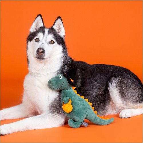 Fringe Candy Rex - Afbeelding 3