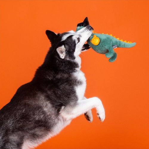 Fringe Candy Rex - Afbeelding 4