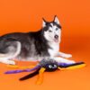 Zachte pluche en fluffy faux fur van de spinnenknuffel voor honden