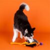 Hond speelt met de XXL spinnenknuffel van Fringe Studio