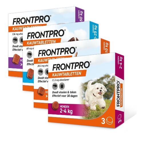 Frontpro