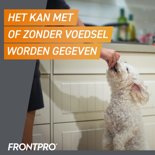 Frontpro - Afbeelding 8
