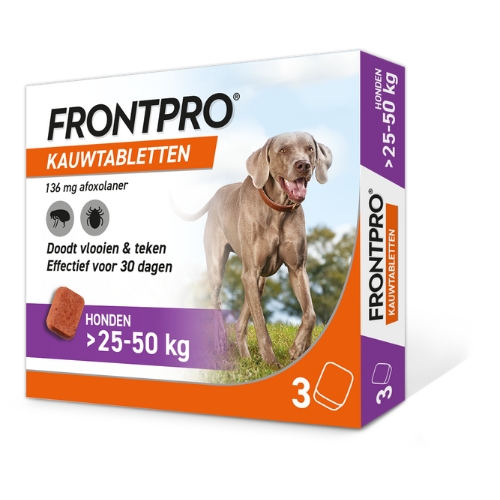 Frontpro - Afbeelding 14
