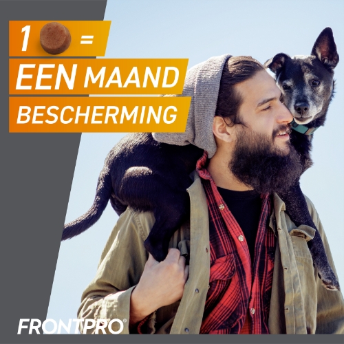 Frontpro - Afbeelding 2