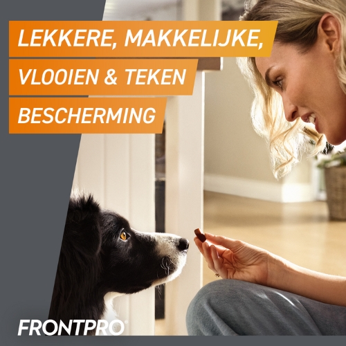 Frontpro - Afbeelding 3
