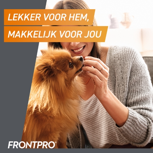 Frontpro - Afbeelding 6