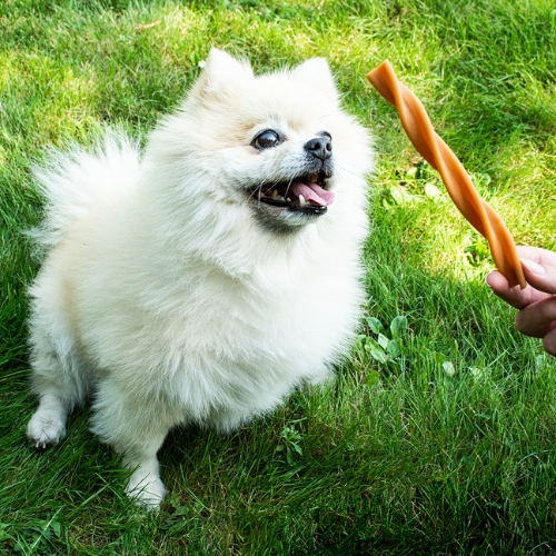 Garden Bites Fruity Dental Swirls - Afbeelding 3