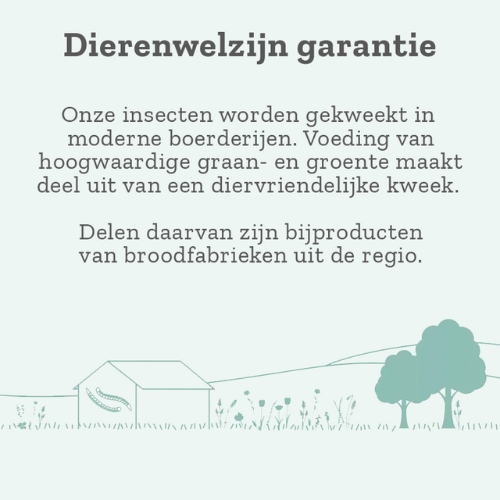 Goood Adult Insecten - Afbeelding 3