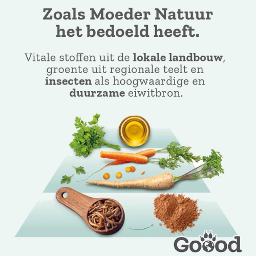 Goood Adult Insecten - Afbeelding 4