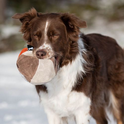 Hefty Ball - Afbeelding 6