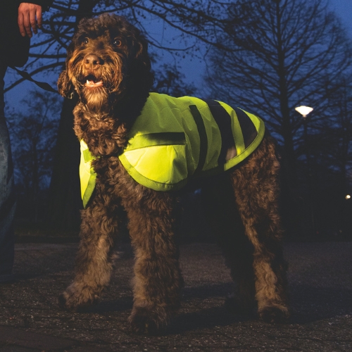 Hondenjas Teddie Reflecterend - Afbeelding 3