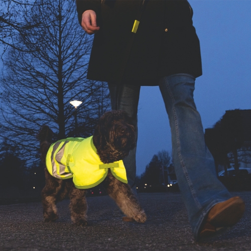 Hondenjas Teddie Reflecterend - Afbeelding 4
