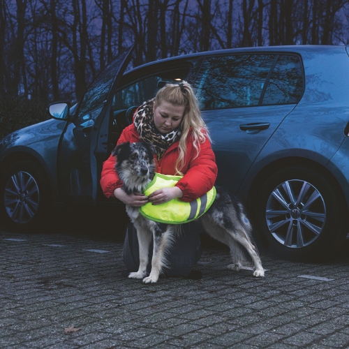 Hondenjas Teddie Reflecterend - Afbeelding 5