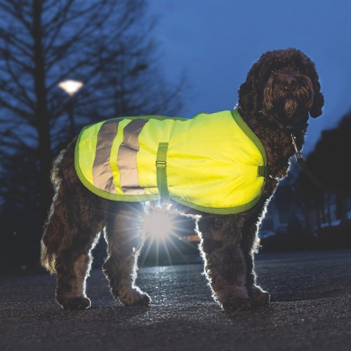 Hondenjas Teddie Reflecterend - Afbeelding 2