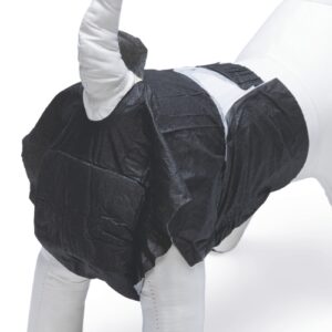 Alternative view of Hondenluier